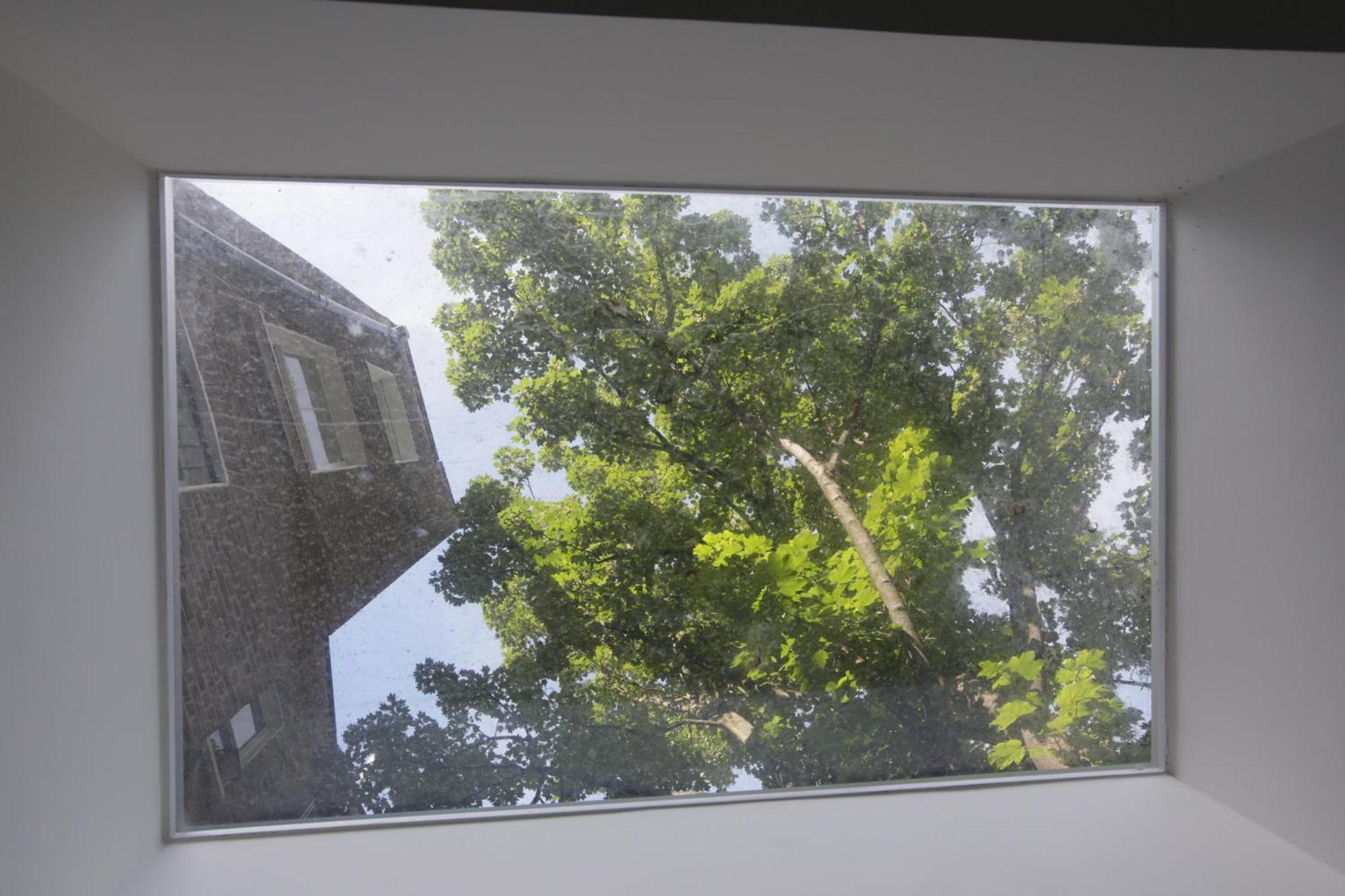 Appartamento Newly Refurbished 1 Bedroom In Vibrant Notting Hill Londra